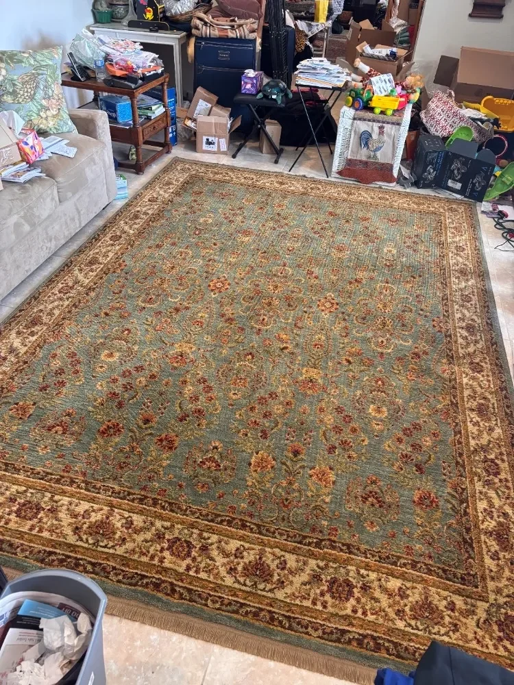 Large traditional patterned area rug