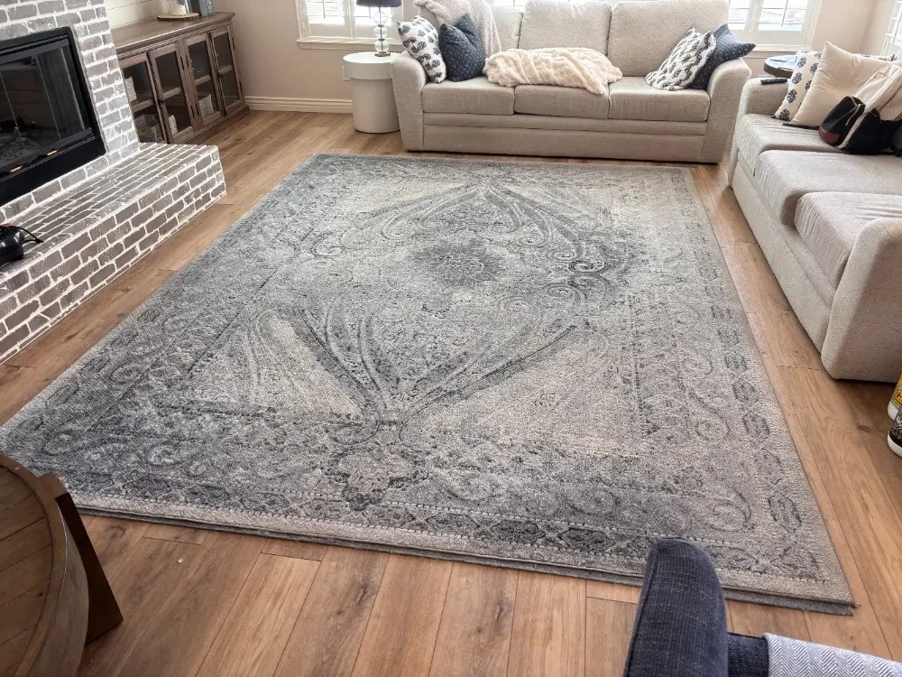Large patterned area rug in a Paradise Valley living room